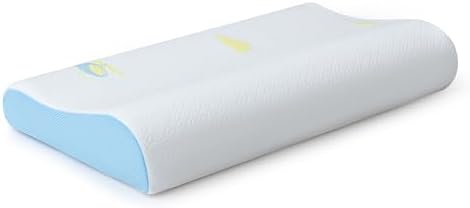 Hcore Memory Foam Travel Pillow 12x20 Inch