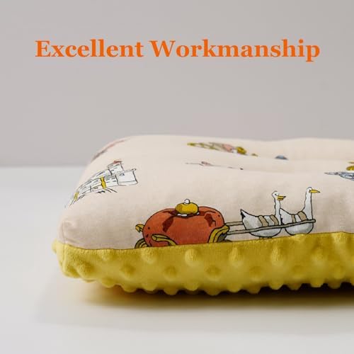 Reidio Toddler Pillow Double Sided Soft Cotton Minky Dot Fabric