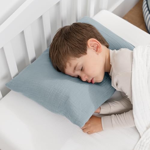 Comfy Cubs Toddler Pillow - Pacific Blue 13x18in