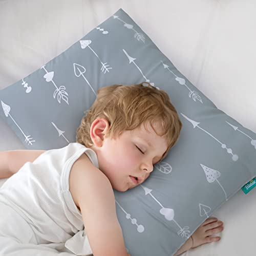 Biloban Toddler Pillow 14x19 2-5 Years