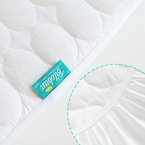 Biloban Mini Crib Mattress Protector 2 Pack Waterproof 38x24 Inches