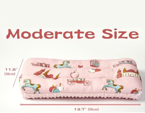 Reidio Toddler Pillow Double Sided Soft Cotton Minky Dot Fabric