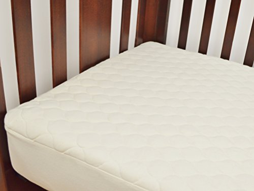 American Baby Company Waterproof Crib Mattress Protector 52x28 1