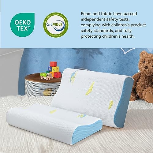 Hcore Memory Foam Travel Pillow 12x20 Inch