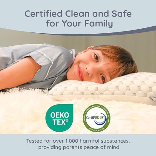 Lussi Company Adjustable Toddler Pillow for 2 Year Olds