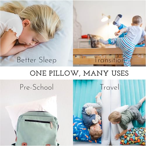 Little Sleepy Head 16x22 Youth Pillow with Pillowcase - Gray