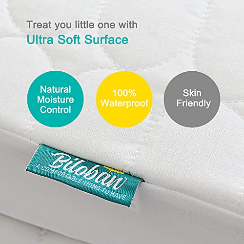 Biloban Mini Crib Mattress Protector 2 Pack Waterproof 38x24 Inches