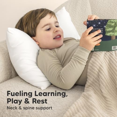 KeaBabies Toddler Pillow - 13x18 Bamboo Viscose with Pillowcase